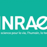 https://www.inrae.fr/